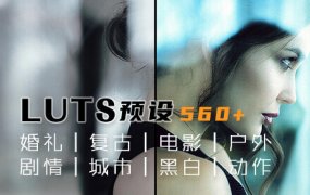 LUTs预设 560+婚礼复古电影户外剧情城市黑白动作类精品预设 常用调色预设