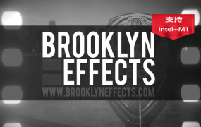 FCPX插件-工具类-视频宽高比遮幅预设 Aspect Ratio 制作电影宽屏效果