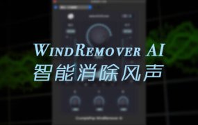中文汉化插件 自动智能消除风声音频降噪插件 WindRemover AI