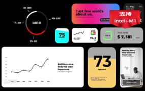 FCPX发生器插件-10种简洁公司企业信息数据统计表图形动画 Infographics