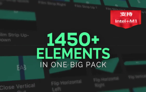 FCPX插件-插件包1450个4K水墨图形遮罩视频转场调色预设文字标题光效+转场音效素材AleFX V7.2