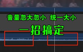 FCPX教程-剪辑过程中 让视频声音批量统一音量!一招搞定!