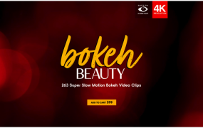 视频素材 BusyBoxx V15 Bokeh Beauty 263组镜头散景彩色光斑闪烁炫光叠加动画 特效合成素材